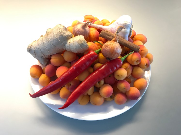 Ingredients for Apricot Chutney © cadwu