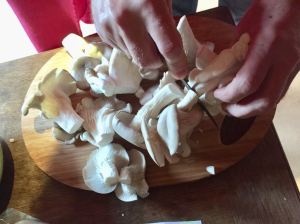 Cutting oyster mushrooms © cadwu