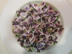 Empty Shells of Tellines © cadwu