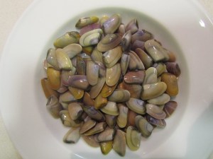 Fresh Tellines © cadwu