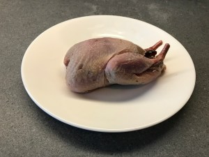 Red-Legged Partridge © cadwu