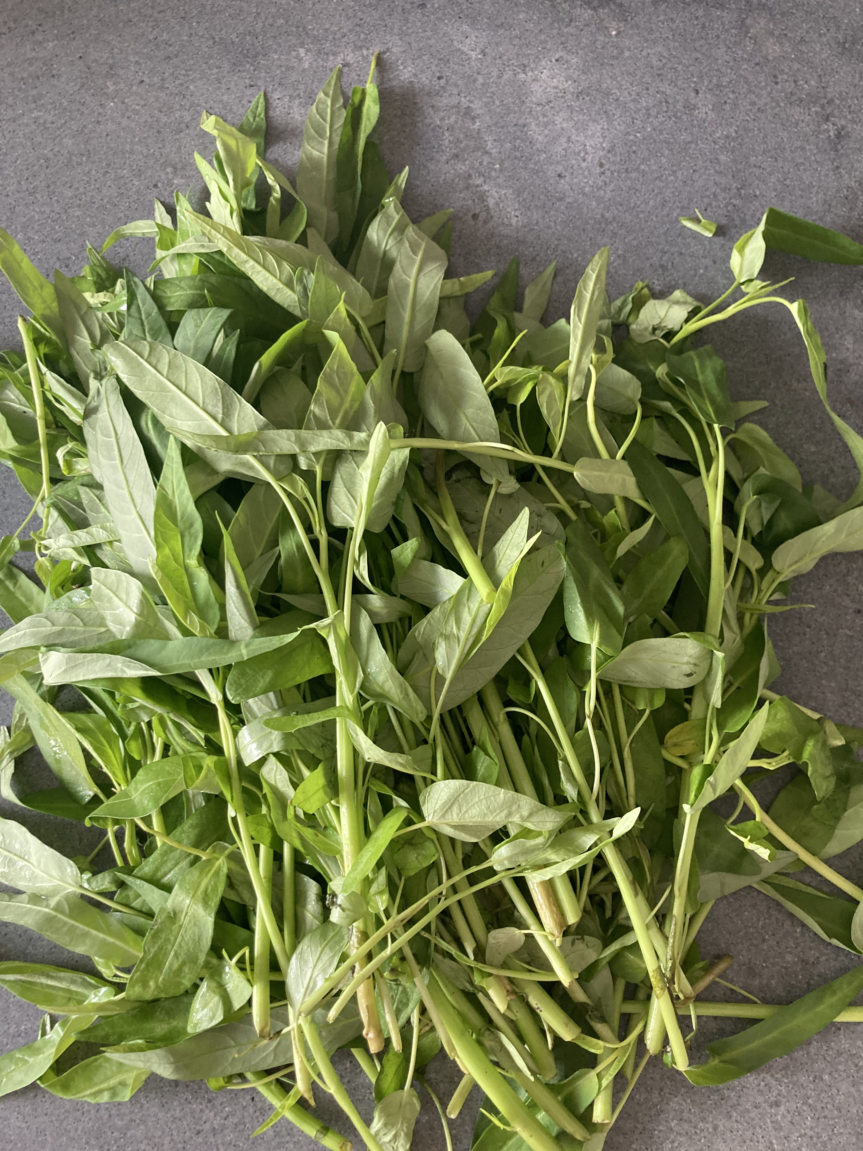 Fresh Water Spinach ©cadwu