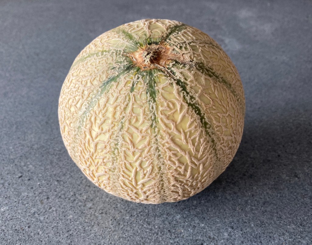 Cantaloupe Melon ©cadwu