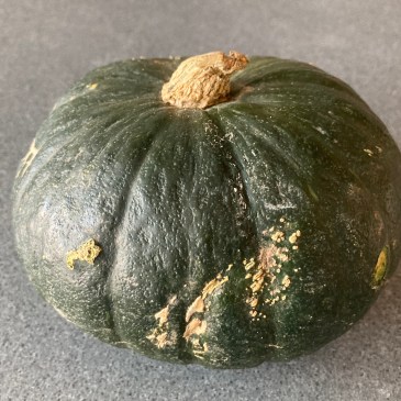 Japanese Pumpkin (Kabocha) ©cadwu