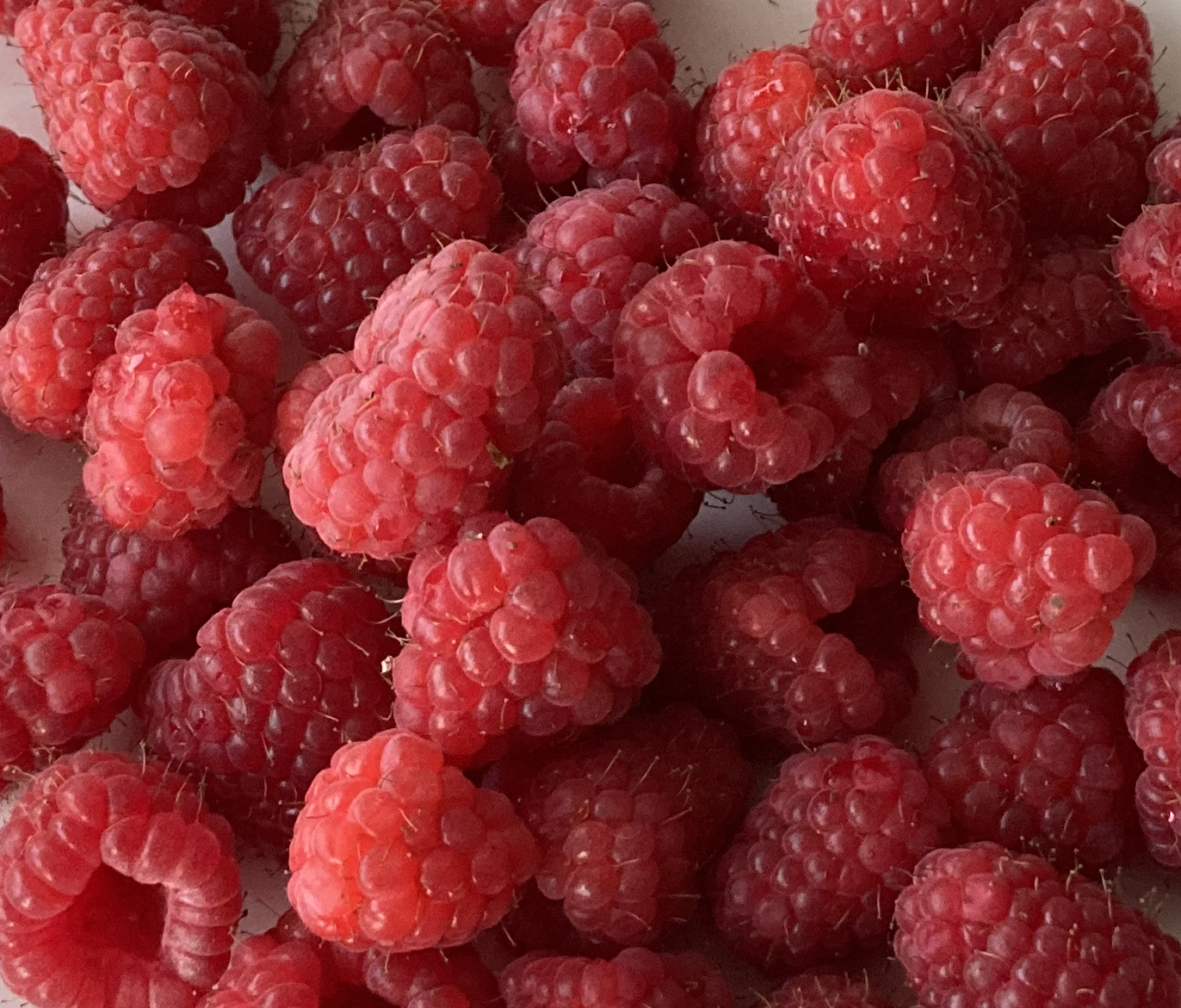 Raspberries ©cadwu