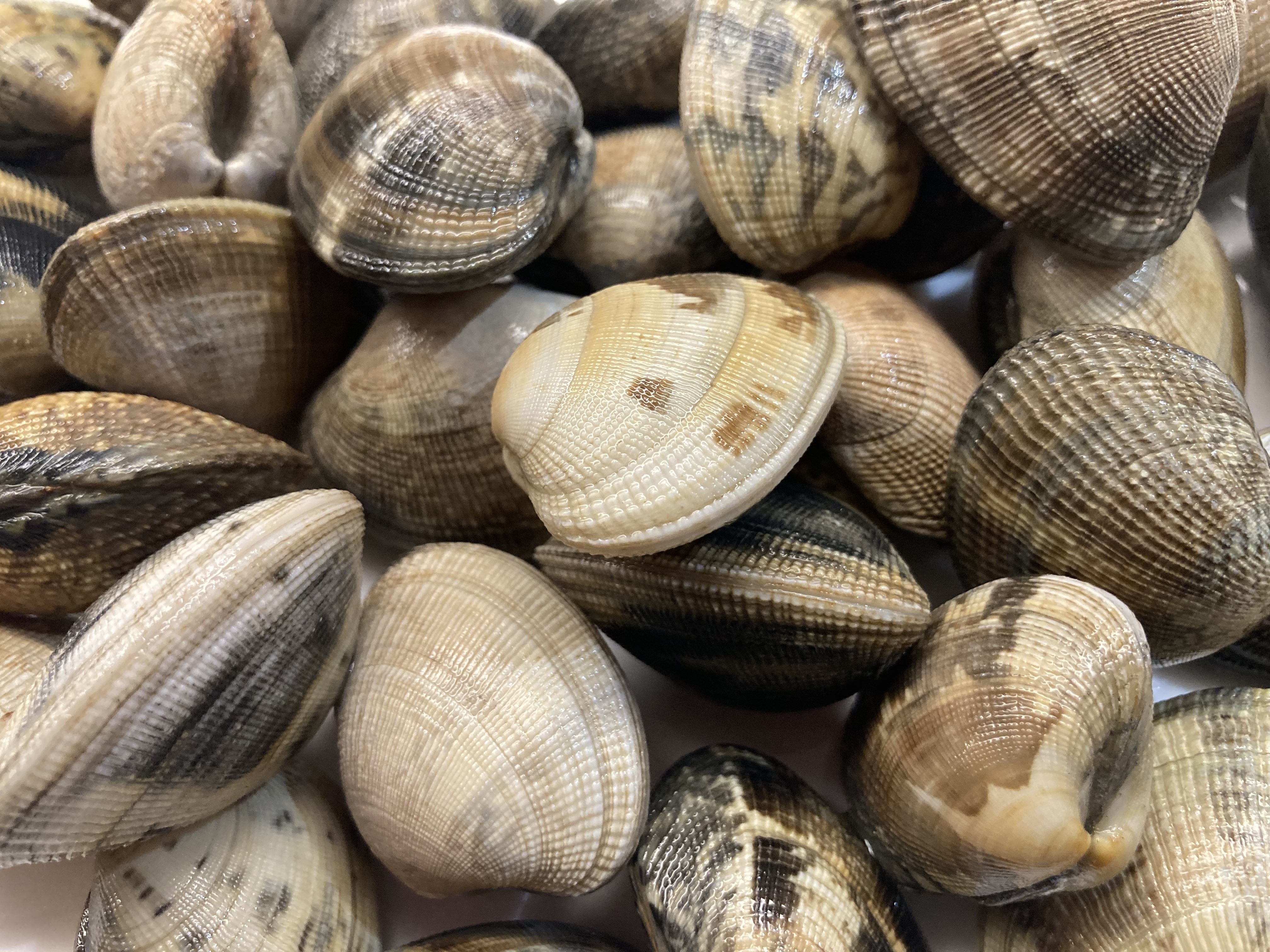 Fresh Vongole ©cadwu