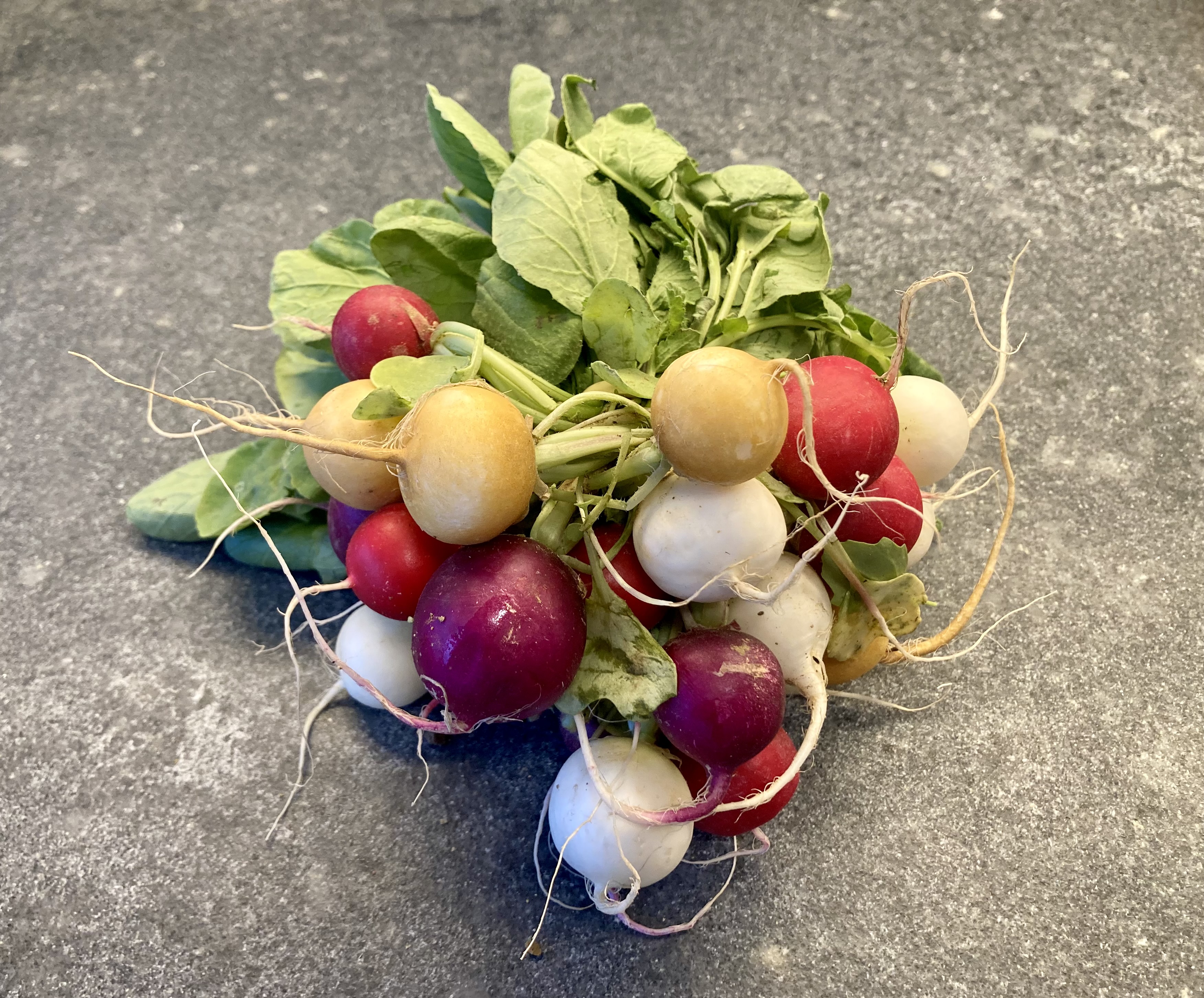 Coloured Radishes ©cadwu