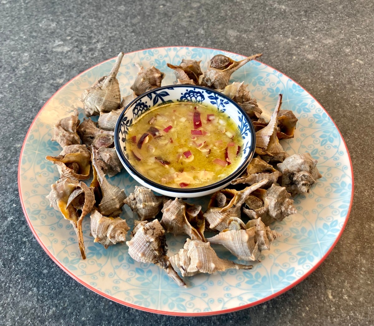 Sea Snails – Cook and Drink
