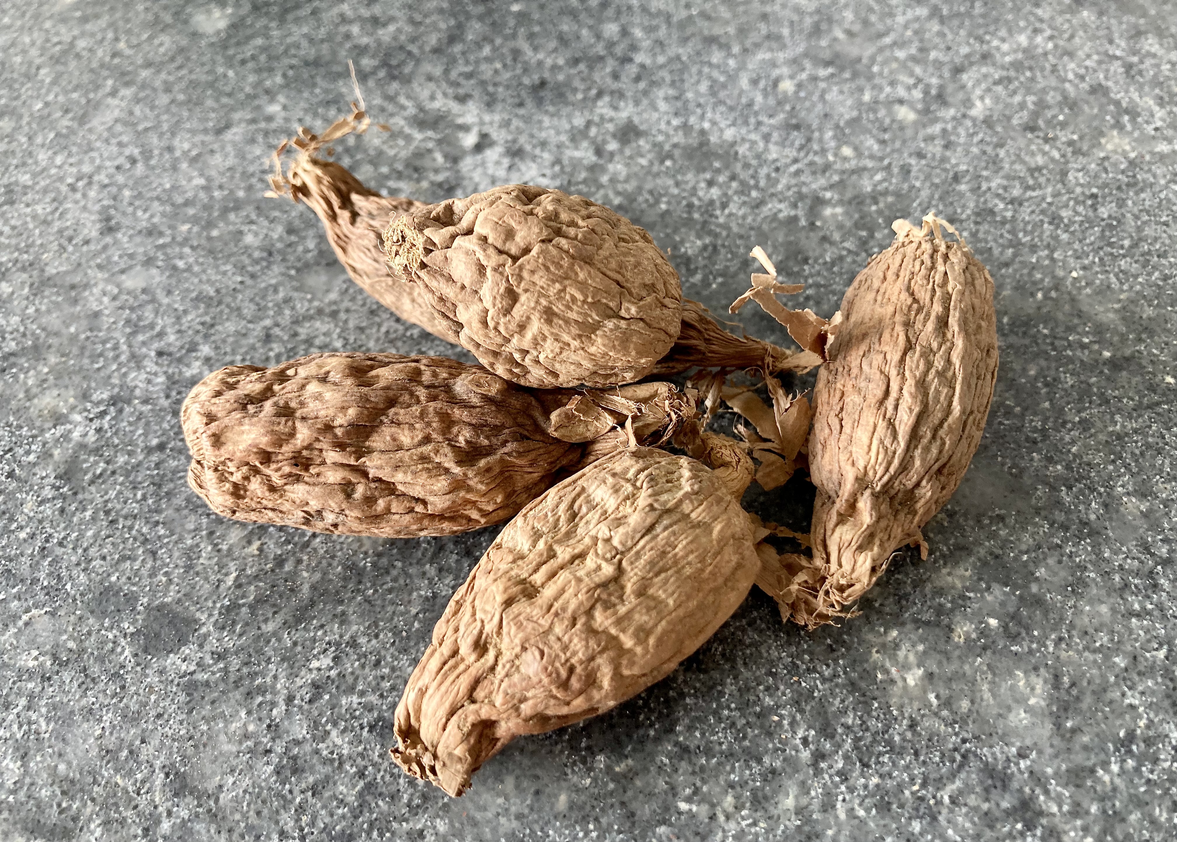 Grains of Paradise (seed pods) ©cadwu