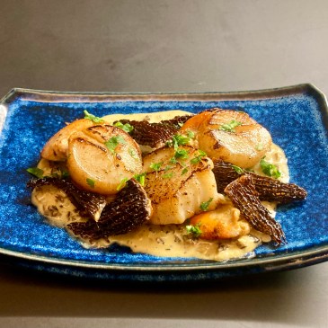 Scallops and Morels ©cadwu with a rich creamy morel sauce with chopped shallots, stock, mustard and chopped parsley