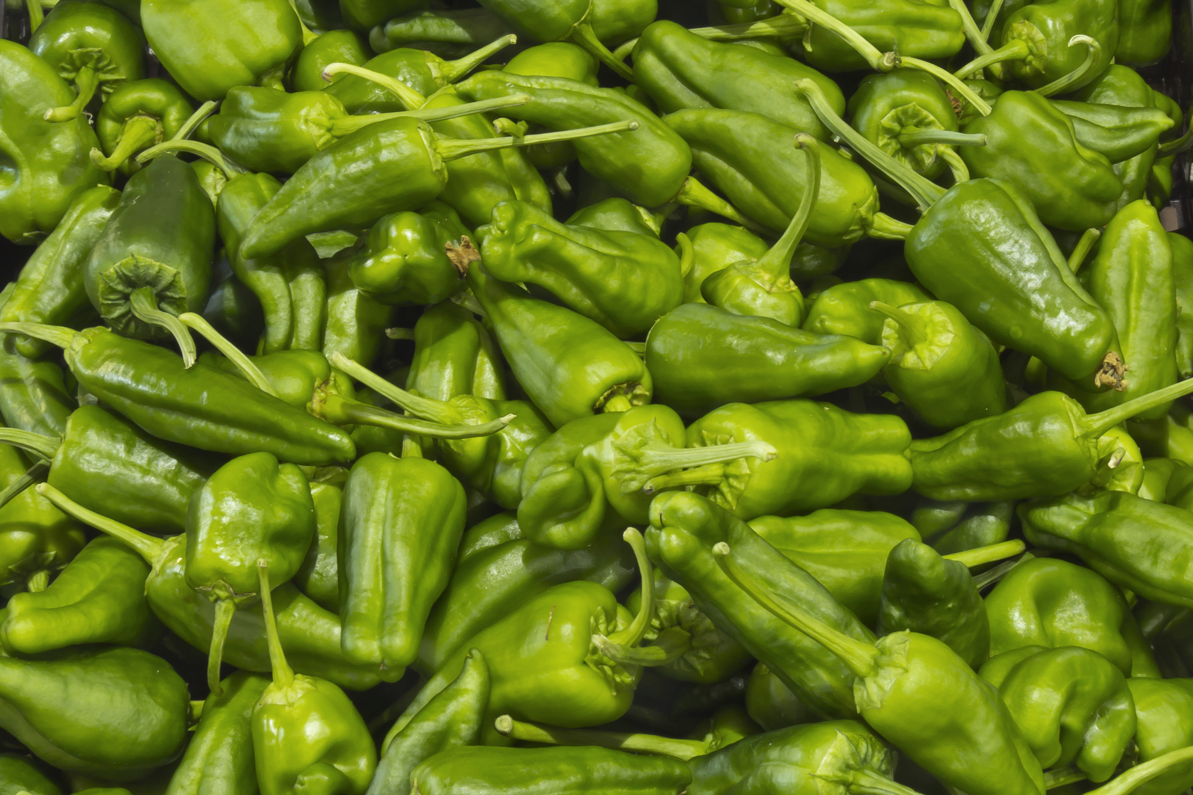 Pimientos de Padrón ©Christian Köppchen